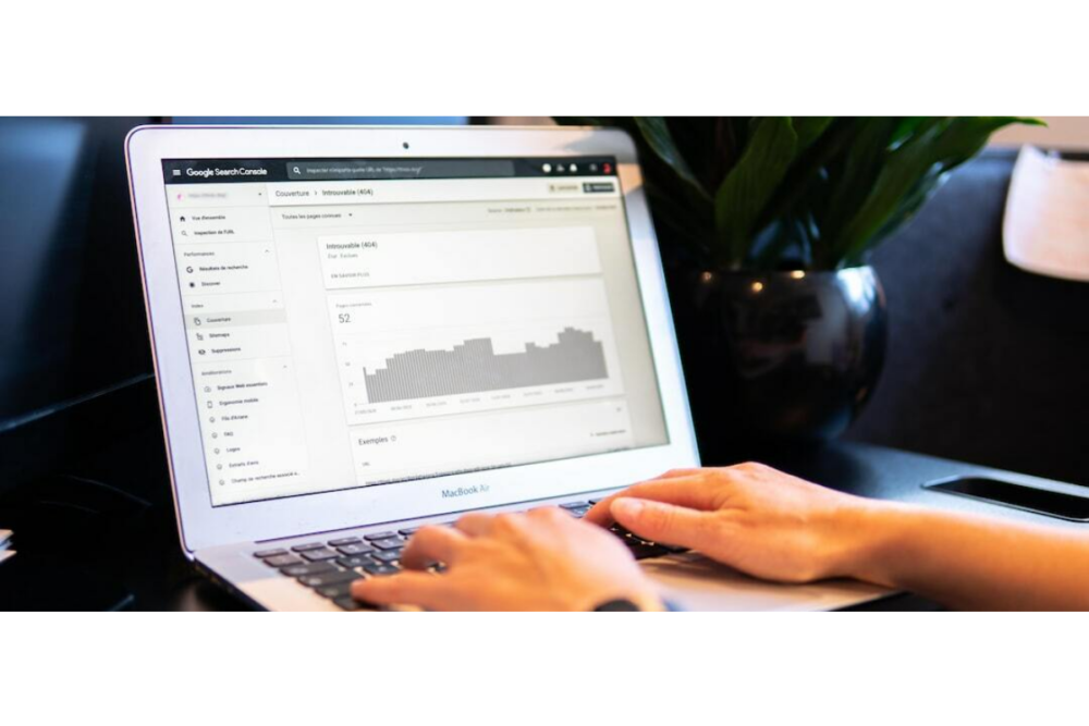 Why SEO Is Important for Business