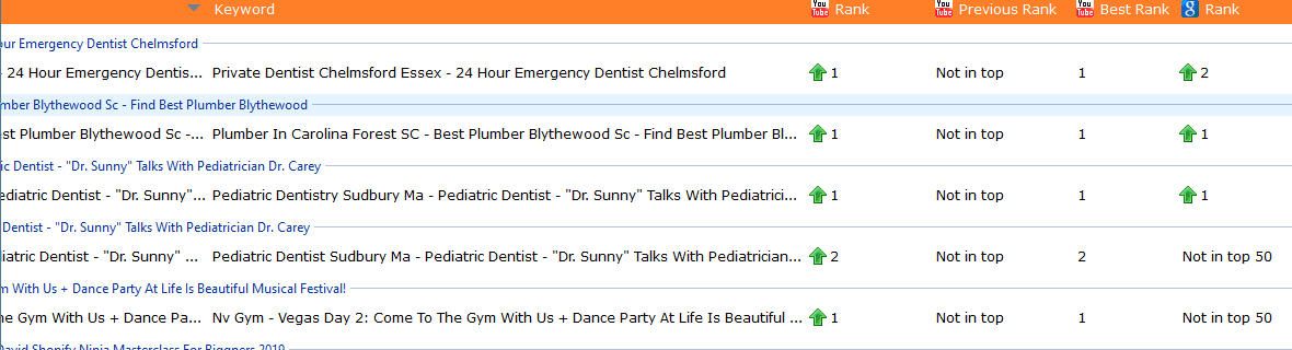 local youtube seo search results rankings